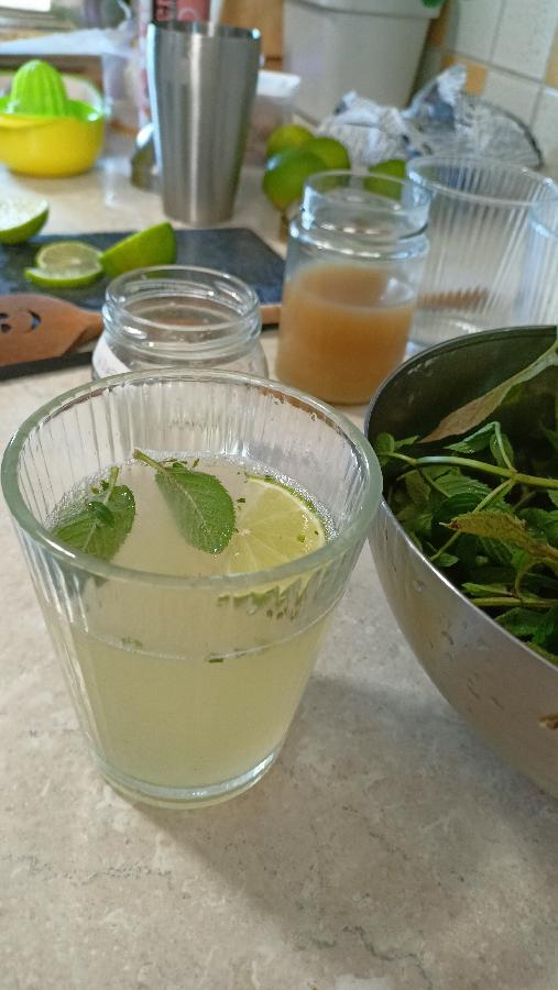 Mint Mojito