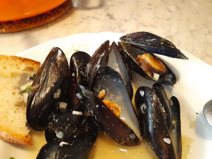 Mussels (Dagnje) (Dalmatian style)